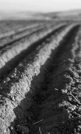 Pre-Arrival Programme image